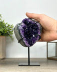 A+ Grade Natural Uruguayan Amethyst Geode - MWS2400