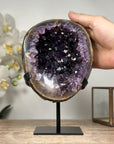 Amethyst Geode Cave with Polished Shell - MWS1792
