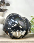 XL Natural Amethyst Geode with Agate Shell - STGE0054