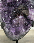 Unique Large Amethyst Cluster with Black Hematite Formation - MWS2529