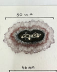 Genuine Large Amethyst Stalactite Slices Flat - Perfect for Crafting Unique Jewelry - STS0038