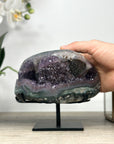 Natural Amethyst & Green Jasper Geode with Black Hemetite Formation - MWS2298