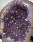 Stunning Natural Amethyst Geode with Agate Shell - MWS1430