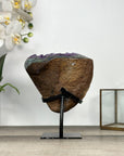Amethyst Geode on Stand with Deep Purple Crystals – Natural Display Specimen - MWS2822