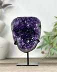 Natural uruguayan Amethyst Cluster on Stand - MWS3270