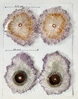Amethyst Stalactite Slices Wholesale Flat - Ideal for Pendants - STS0070