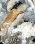 Quartz Crystal with Calite Geode on Stand Mineral Specimen