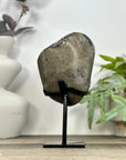 Natural Amethyst Crystal Cluster on Stand - MWS3210