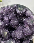 Amethyst Crystal Cluster Geode for Home Decor Display - MWS2644