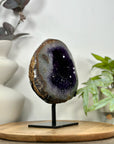 Amethyst & Agate Geode with Polished Shell on Metal Stand - MWS3106