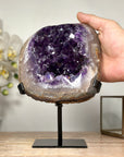 Large Natural Amethyst Geode with Beautiful Large Crystals - MWS1837