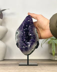 Top Quality Natural Amethyst Geode with Green Japer Shell - MWS3348