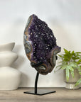Huge Natural Bicolor Amethyst Cluster - Stand Included - MWS3041