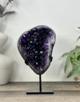 Natural A+ Grade Amethyst Specimen with Stand - MWS3227