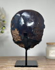 Stunning Natural Amethyst & Agate Polished Geode with metal Stand - MWS1335