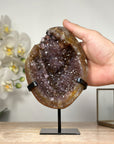 Natural Amethyst Geode with Yellow Iron Mineralization - MWS1810