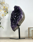 Deep Purple A+ Grade Large Amethyst Crystal Cluster - MWS2193