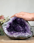 Large Natural Uruguayan Amethyst Geode with Large Crystals - STGE0010