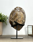 Caramel Tone Quartz Geode on Metal Stand – Natural Crystal Statement Piece from Uruguay - MWS2418
