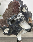 Agate Geode with Druzy Crystals and Deep Brown Hues Leaf Carving - MWS2809