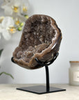 Quartz Geode with Microworld Stalactite Formation - MWS1288
