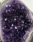 Amethyst Crystal Geode with Natural Agate Shell - MWS2796