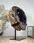 Amethyst Geode Cave with Polished Shell - MWS1792