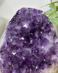 Uruguayan Amethyst Cathedral Statement Piece - CBP1300