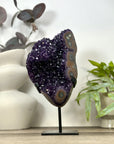 A Grade Uruguayan Amethyst Cluster with Stalactite Eyes - MWS3168