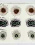 Amethyst, Quartz Agate & Green Jasper Stalactite Slices Wholesale Flat - Ideal for Pendants - STS0026