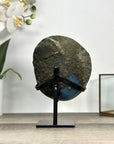 Blue Agate Geode With Crystal Center on Metal Stand - MWS2767