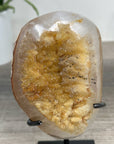Natural Quartz Geode with Yellow Sugar Quartz Druzy Crystals - MWS2517