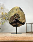 Natural A grade Natural Amethyst Geode - MWS2084