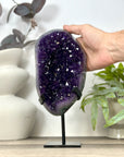 A Grade Natural Amethyst Geode on Stand - MWS3162