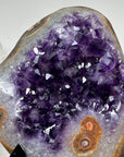 Deep Purple Amethyst Cluster with Natural Agate Shell - MWS1360