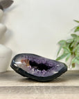 Natural amethyst & Agate Stone Geode with polished Shell - STGE0081