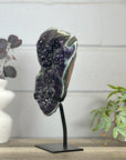 Top Quality Natural Amethyst Crystal Cluster with Green Jasper - Stand Included - MWS3153
