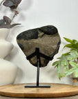Top Grade Amethyst & Green Jasper Stalactite Formation - MWS3107