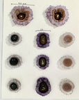 Genuine Amethyst, Quartz & Green Jasper Stalactite Slices Flat - Perfect for Crafting Unique Jewelry - STS0049