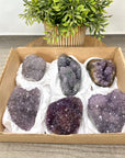 Mineral Specimens Lot - MSLT0193