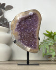 Large Natural Amethyst Crystal on Stand from Uruguay - MWS3324
