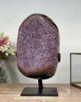 Stunning Amethyst Cluster Specimen, Stand Included - AWS1358