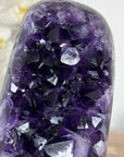 Unique Amethyst Cluster with huge Deep Purple Crystals - MWS1756