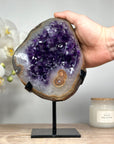 Deep Purple Amethyst Cluster with Natural Agate Shell - MWS1360