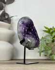 Large Natural Amethyst Geode with Deep Purple Amethyst Crystals - MWS3315