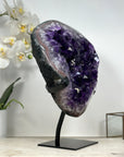 Impresive Large Amethyst Geode with Unique huge Shinny Crystals - MWS1804