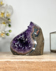 Amethyst Geode with Polished Edge for Home Decor Display - CBP1147