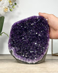 Large Natural Uruguayan Amethyst Cathedral - CBP1275