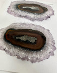 Genuine Large Stalactite Slices Flat - Perfect for Crafting Unique Jewelry - STS0067