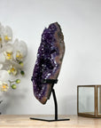 Beautiful Deep Purple Amethyst Crystal Cluster Formation - MWS1905